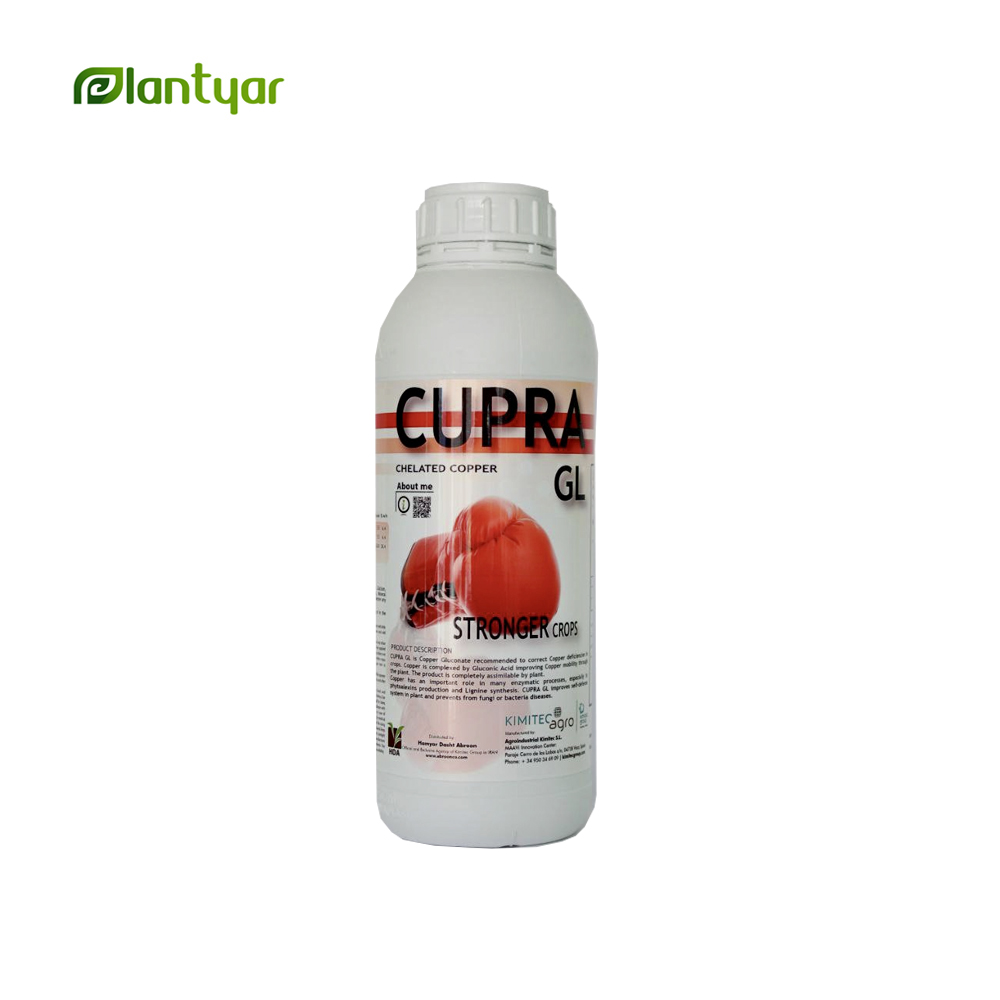 کود کلات مس کوپرا جی ال Cupra GL (1 لیتری)