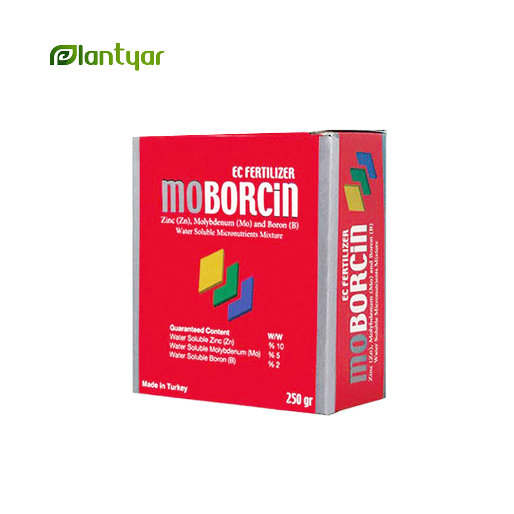 کود فروت ست موبورسین ترکیه (250 گرمی)