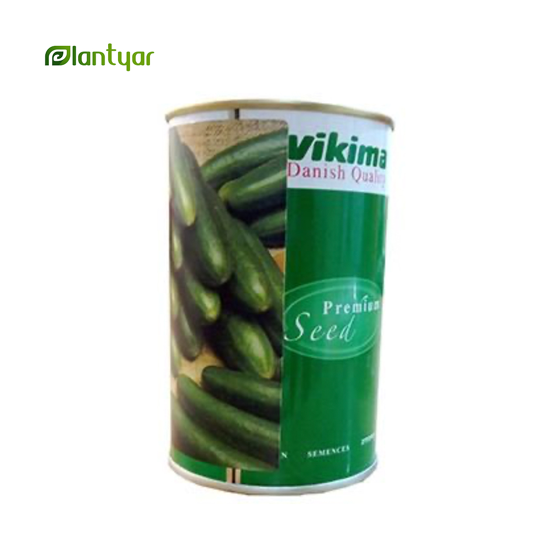 بذر خیار بتا آلفا Beith Alpha ویکیما