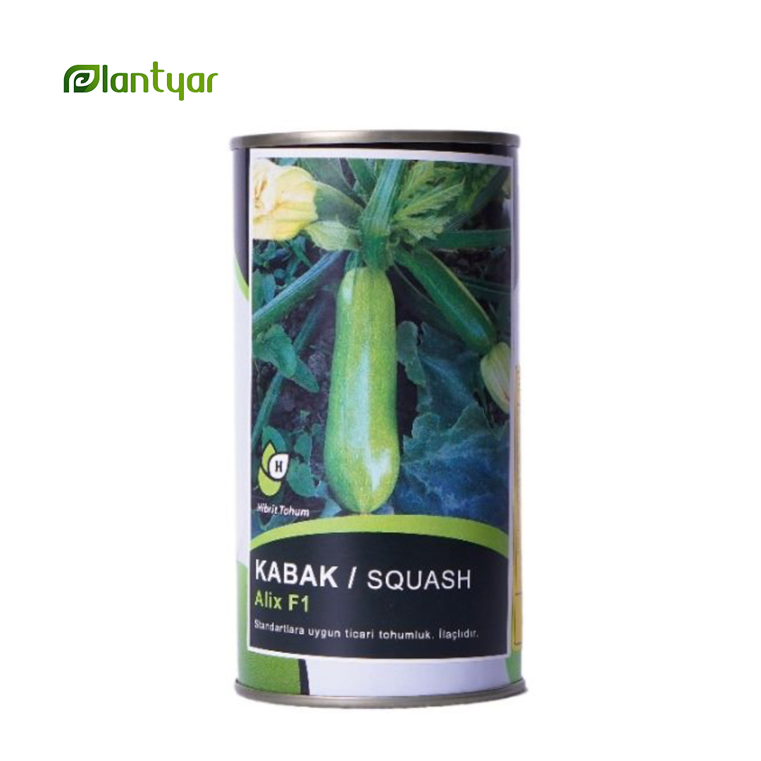 بذر کدو الیکس Alix F1