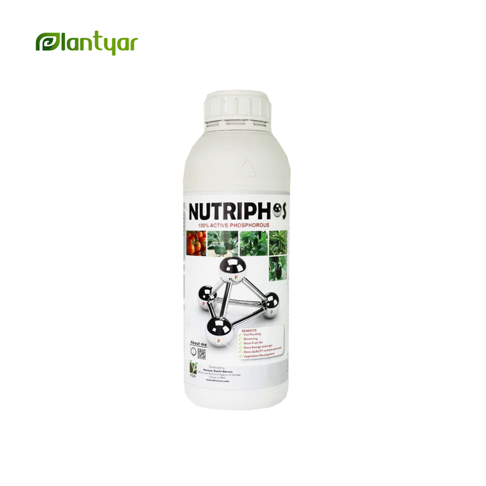 کود فسفر نوتریفوس Nutriphos (1 لیتری)