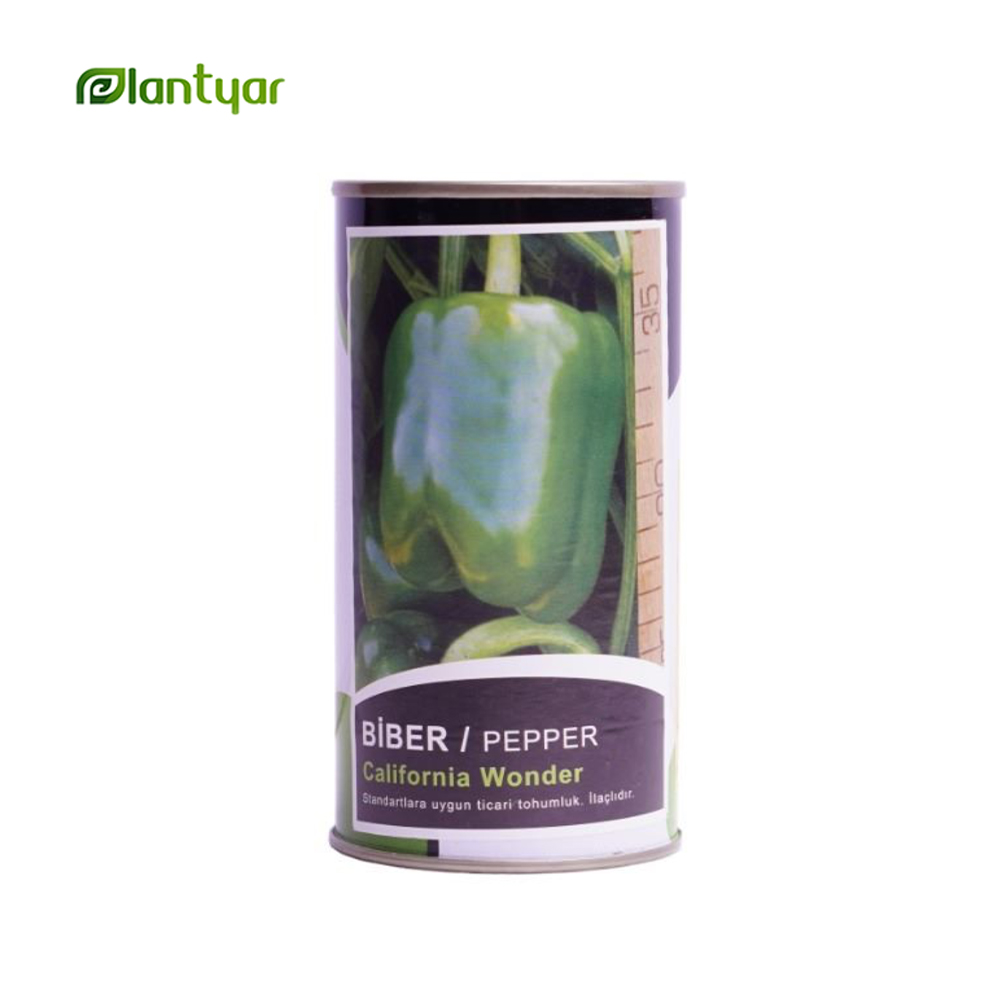 بذر فلفل دلمه‌ای کالیفرنیا واندر California Wonder