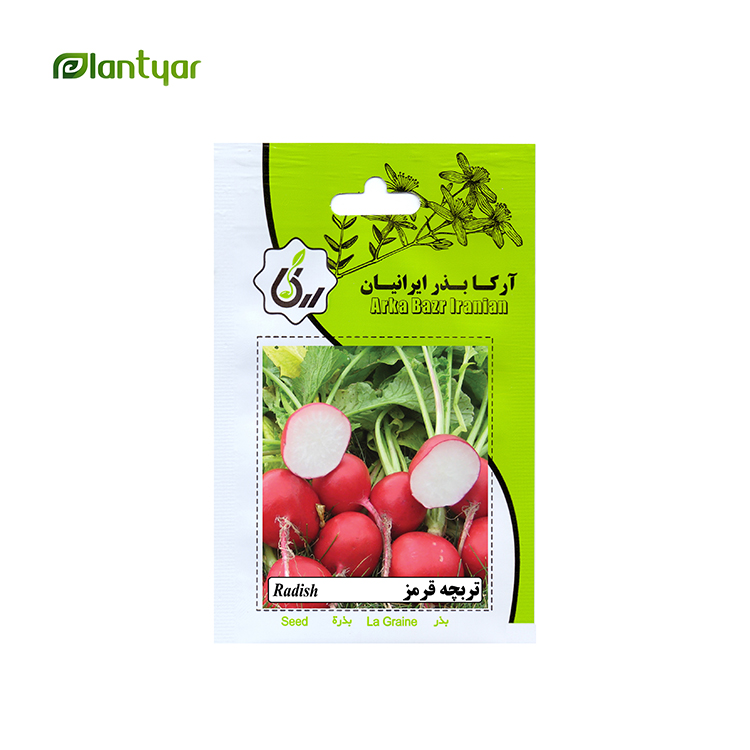 بذر تربچه قرمز آرکا بذر ایرانیان کد ARK-199