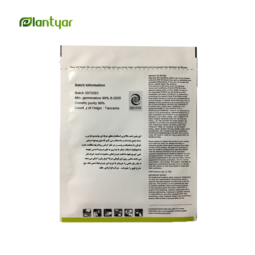 بذر خیار گلخانه ای ناگین 792 F1