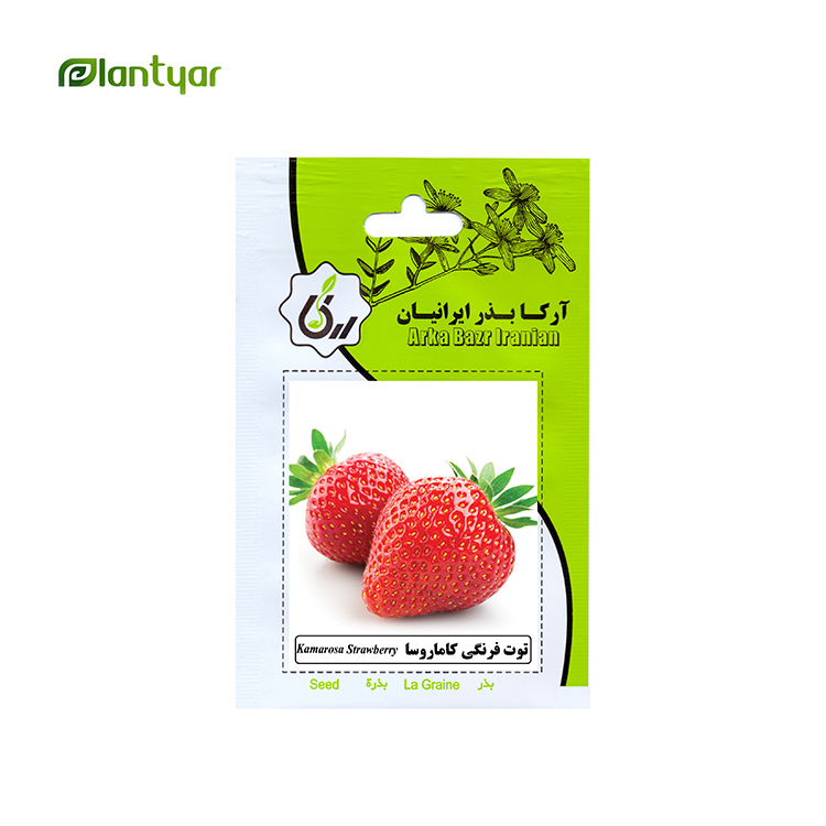 بذر توت فرنگی کاماروسا آرکا بذر ایرانیان کد ARK-143