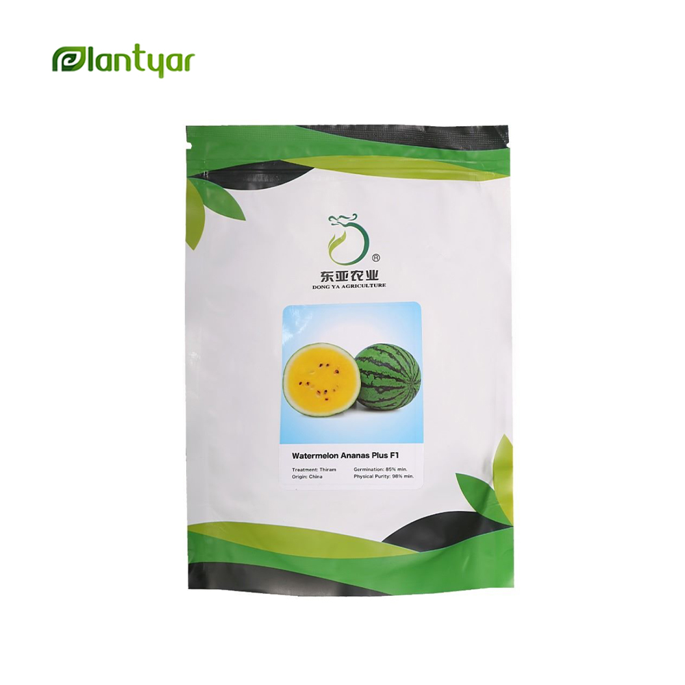 بذر هندوانه آناناس پلاس Ananas plus F1