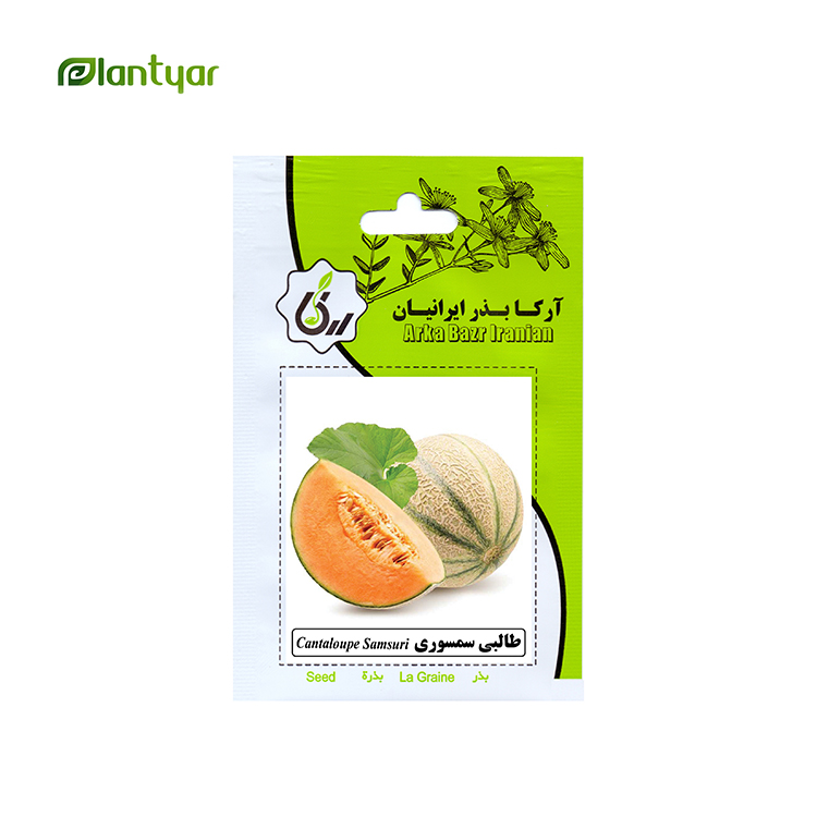 بذر طالبی سمسوری آرکا بذر ایرانیان کد ARK-176