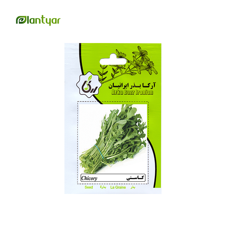 بذر کاسنی آرکا بذر ایرانیان کد 16-ARK