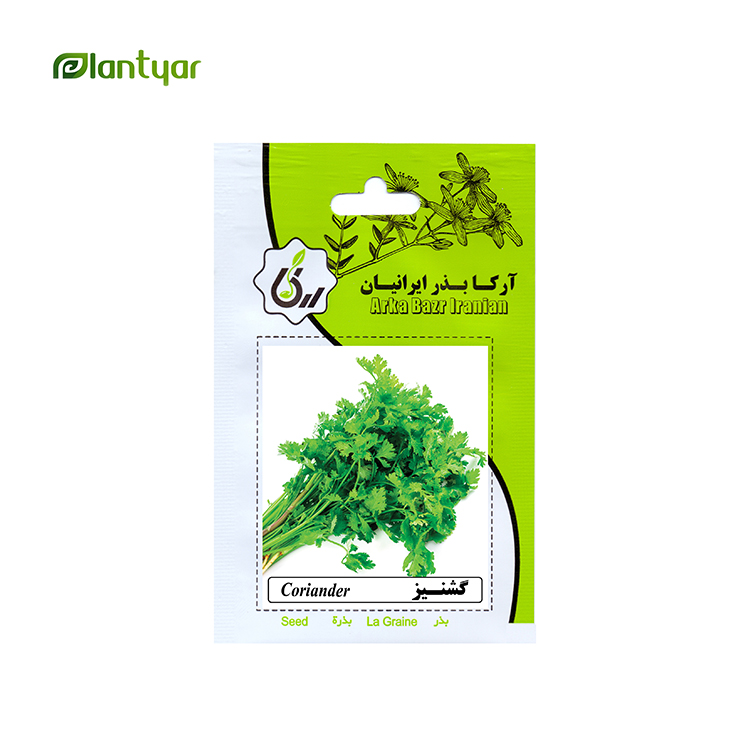 بذر گشنیز آرکا بذر ایرانیان کد ARK-220