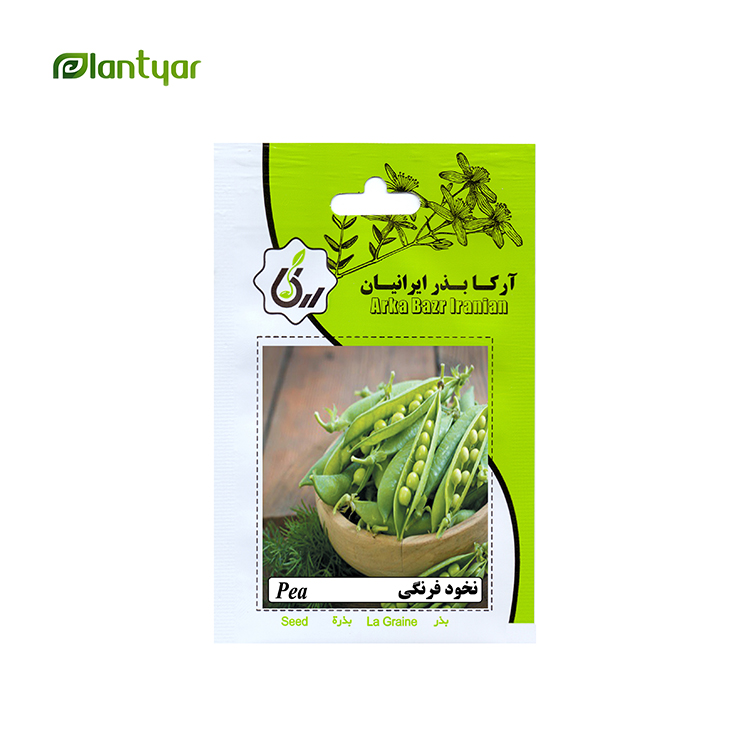 بذر نخود فرنگی آرکا بذر ایرانیان کد ARK-177