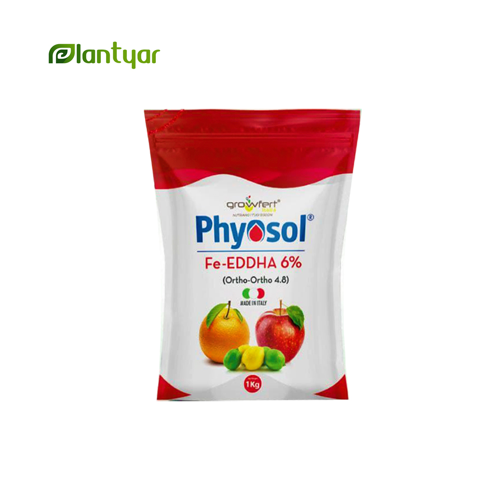 کود آهن6% اورتو-اورتو 4.8 فیوسول ایتالیا (1کیلویی)