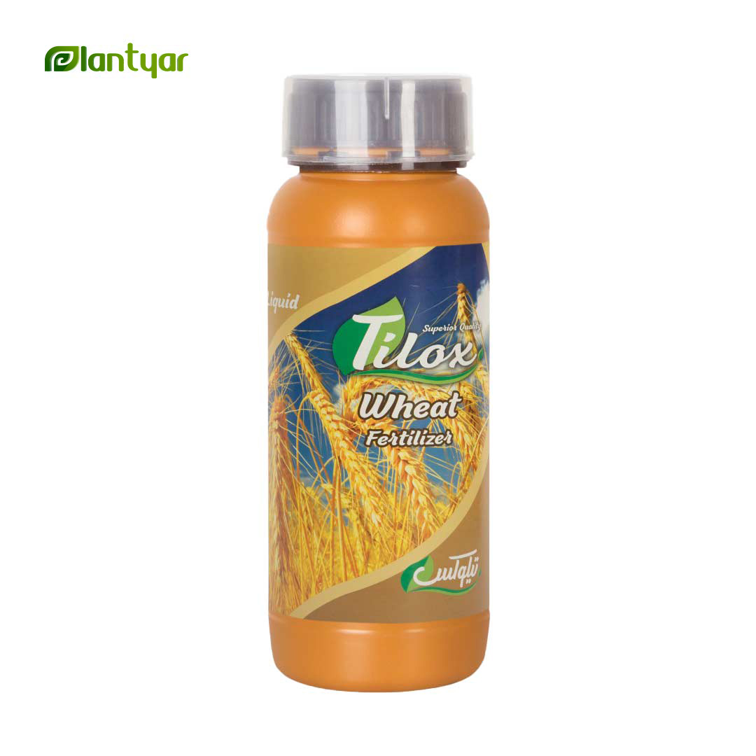 کود مخصوص گندم تیلوکس (1لیتری)