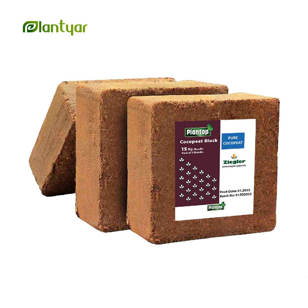 کوکوپیت پلنتاپ زیگلر Cocopeat (بسته 3 عددی)