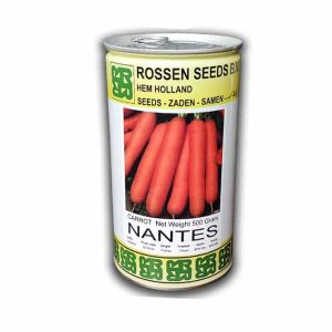 بذر هویج نانتس پروفیت سید ایتالیا 500 گرم (نیم کیلویی )