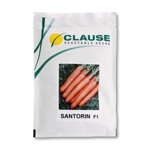 بذر هویج هیبرید سنتورین کلوزفرانسه (1000 عددی )