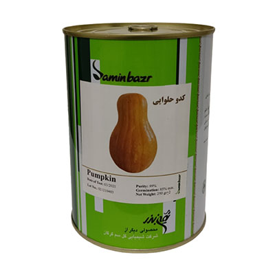 بذر کدو حلوایی ثمین بذر 250 گرم