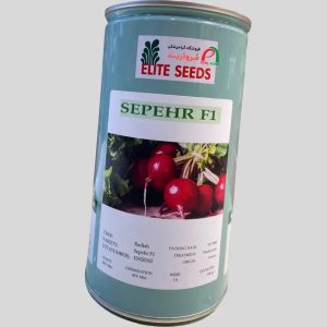 خرید بذر تربچه قرمز هیبرید سپهر الیت هلند 500 گرم