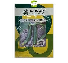 بذر خیار هیبرید گرین ریور هندی (پاکت 1000 عددی )