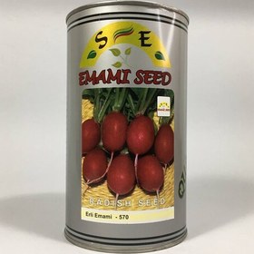 خرید بذر تربچه قرمز امامی (قوطی نیم کیلویی)