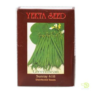 خرید بذر لوبیا سبز سان ری یکتا بذر (پاکت 1 کیلویی)