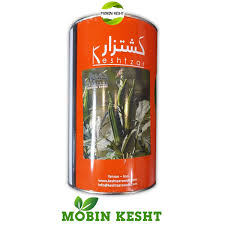 بذر بامیه کشت زار 500 گرم ( قوطی نیم کیلویی )