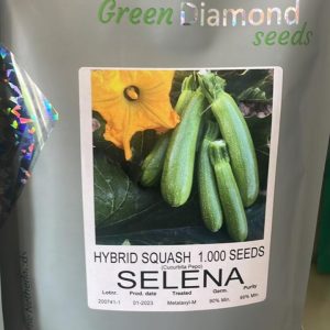 بذر کدو خورشتی هیبرید سلنا ( پاکت 1000 عددی )