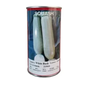 بذر کدو خورشتی هد ( قوطی 100 گرمی )