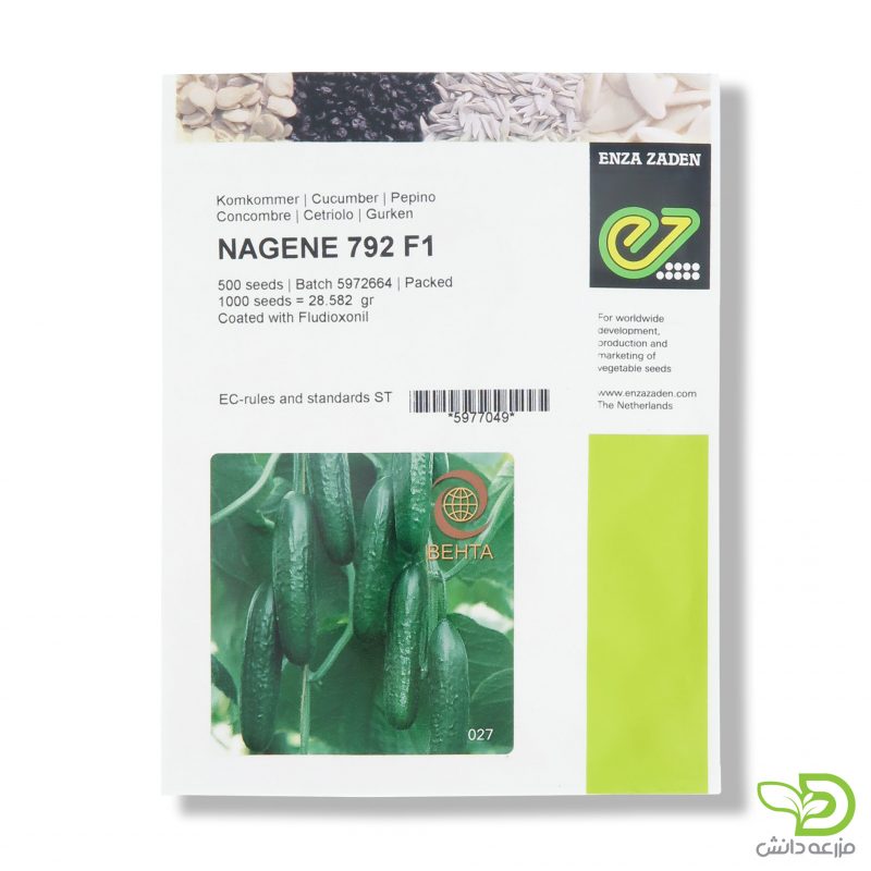 خرید بذر خیار گلخانه ای ناگین ( پاکت 500 عددی )